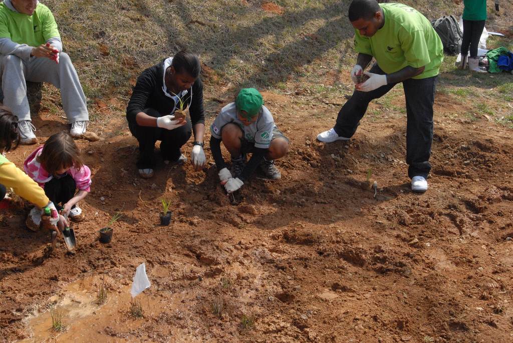 clay soil photo