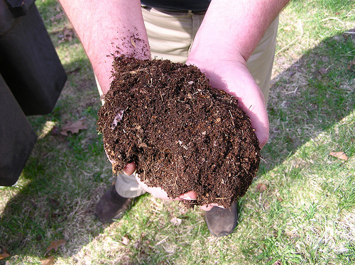 compost photo