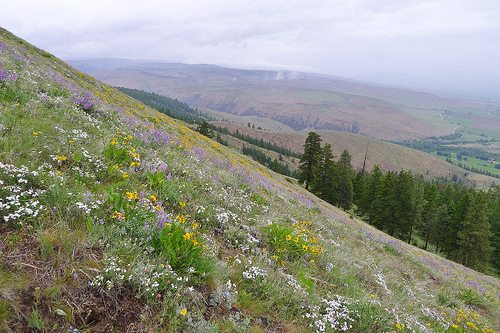 What Are Steep Slopes?