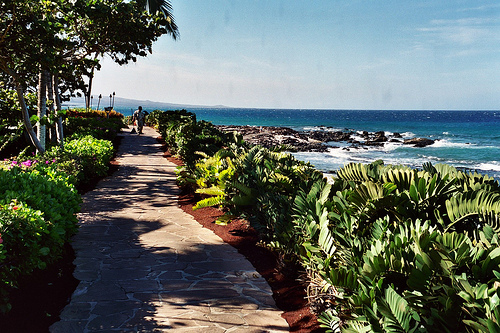 Seaside Gardens photo