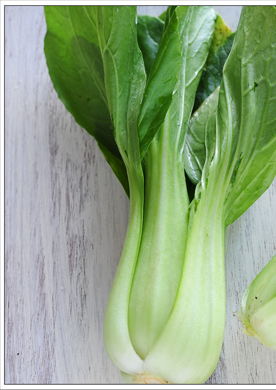 Bok Choy photo